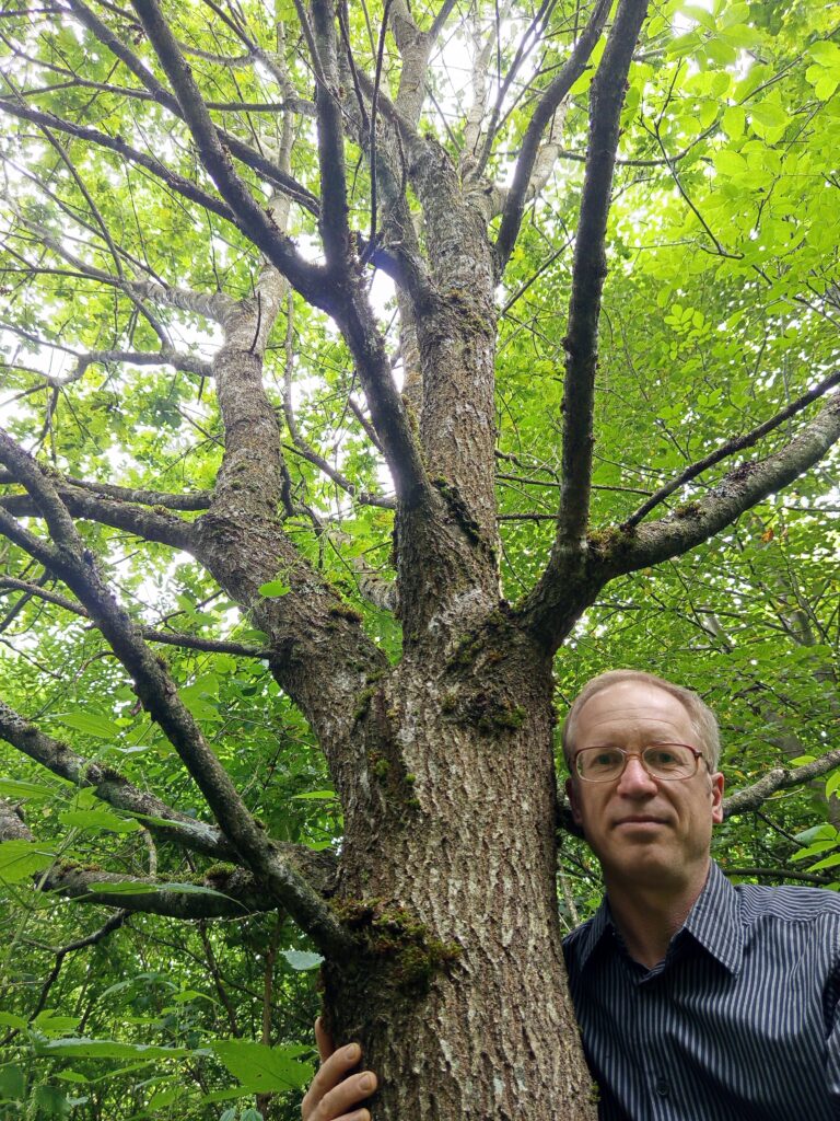 Ąžuolas mano išaugintas iš gilės