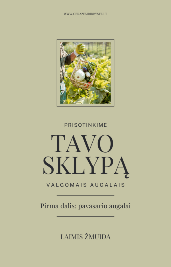 Prisotinkime TAVO sklypą valgomais augalais / Pavasaris (Pirma dalis)