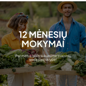 Metų trukmės mokymai