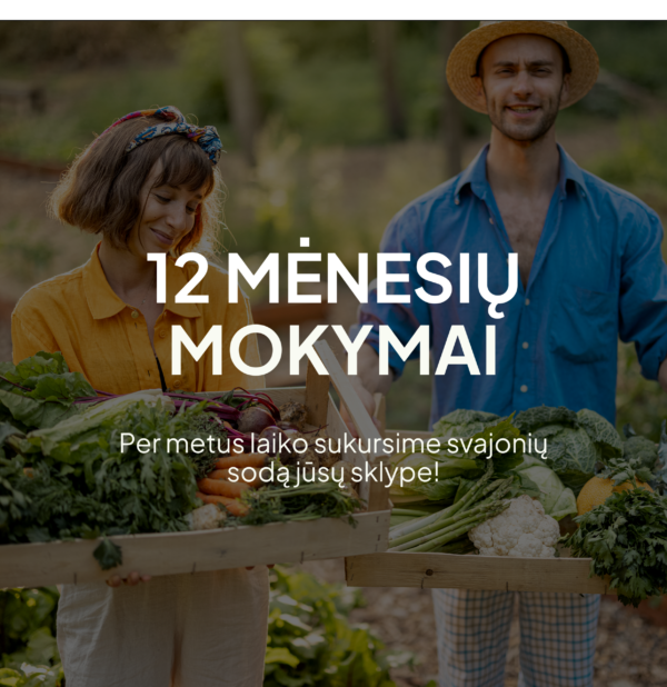 Metų trukmės mokymai